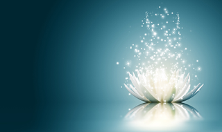 Illustration for article titled Meditation Experience: Week 2 Wrap Up